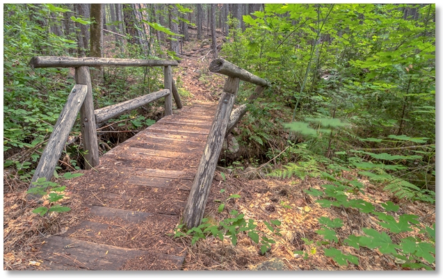 small wooden bridge along Flume Trail