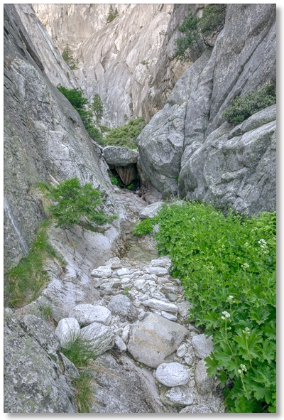 narrow canyon on Upper Sulphur Creek