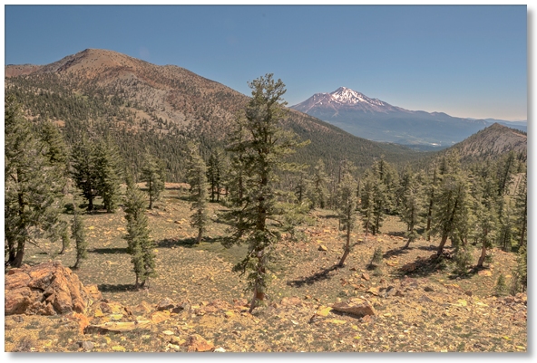 Mt. Eddy and Mt. Shasta from the Pacific Crest Trail