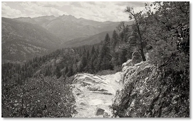 Trail to Indian Springs