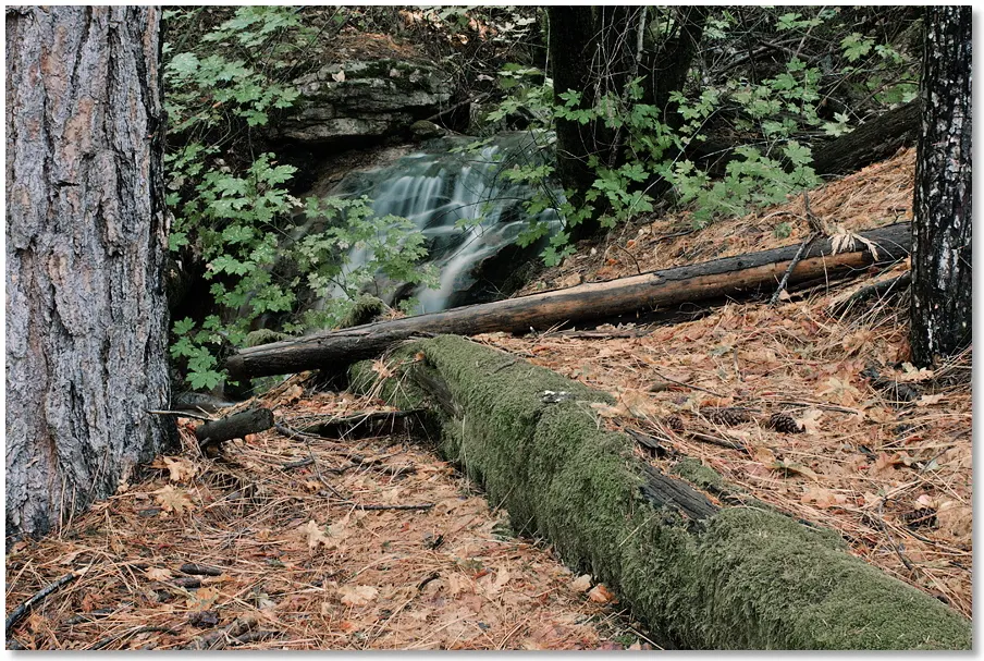 scene along Indian Creek