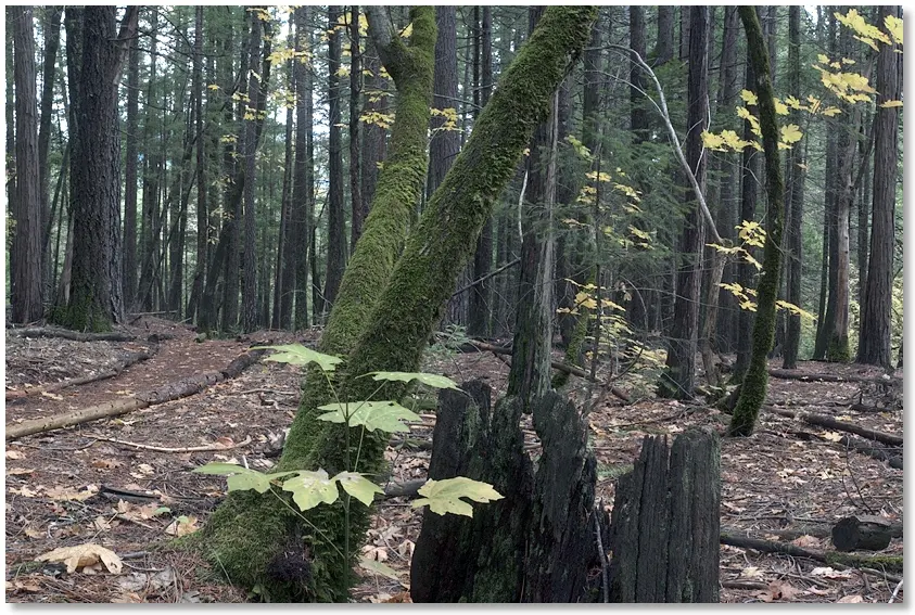 along Indian Creek Nature Trail