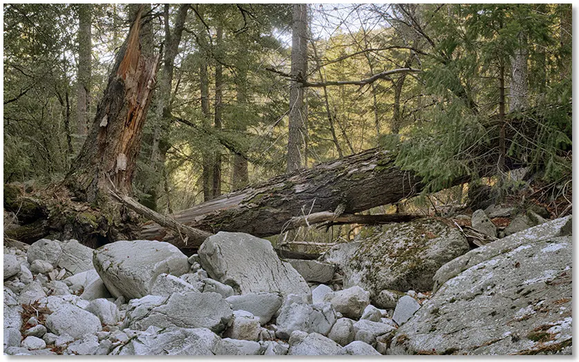 creek detail