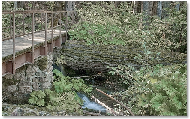bridge on River Trail
