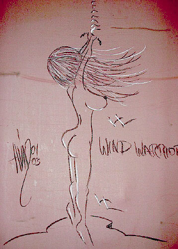 wind warrior