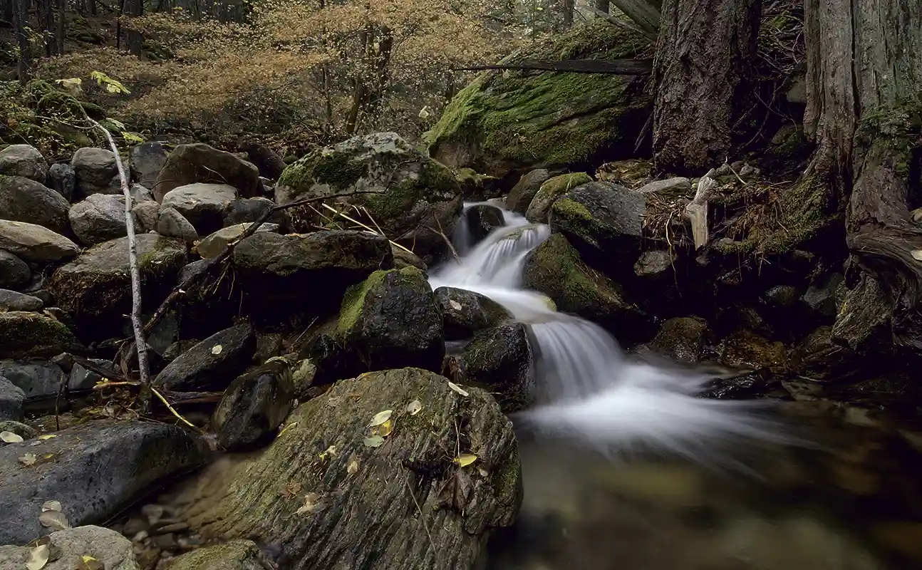 Root Creek